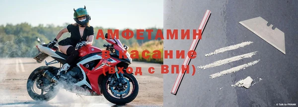 ПСИЛОЦИБИНОВЫЕ ГРИБЫ Вязники