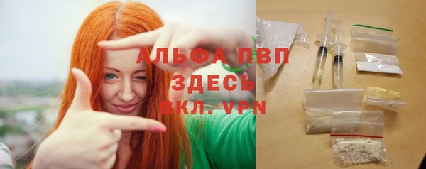 ПСИЛОЦИБИНОВЫЕ ГРИБЫ Вязники