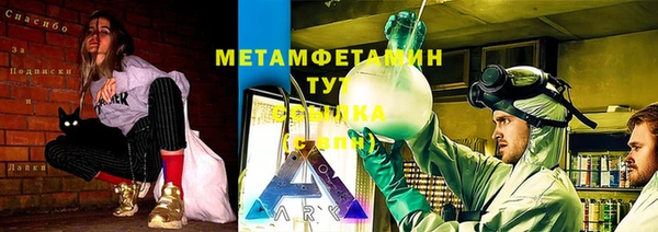 ПСИЛОЦИБИНОВЫЕ ГРИБЫ Вязники