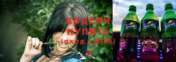 ПСИЛОЦИБИНОВЫЕ ГРИБЫ Вязники